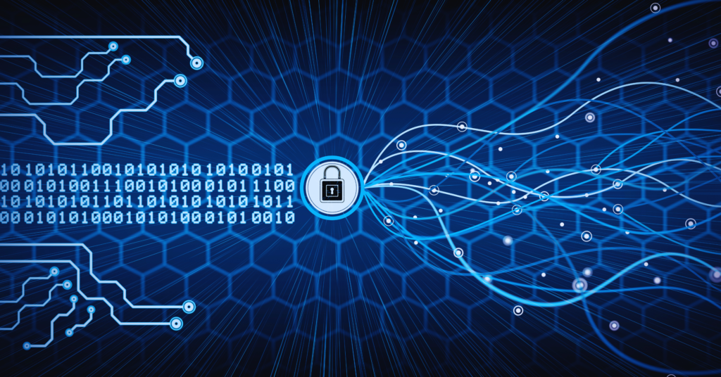 Vulnerability Management